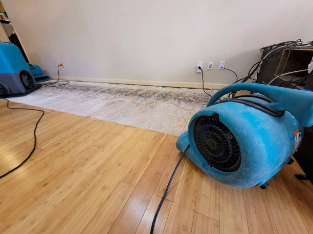 Professional Structural Drying technician working in Middletown, PA
